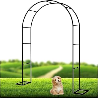 Arco de rosa de jardín estable cenador enrejado marco de arco de metal para varias plantas trepadoras flor, boda telón de fondo de pie pérgola cenador, fácil de montar ( Color : Color , Size : W280cmx