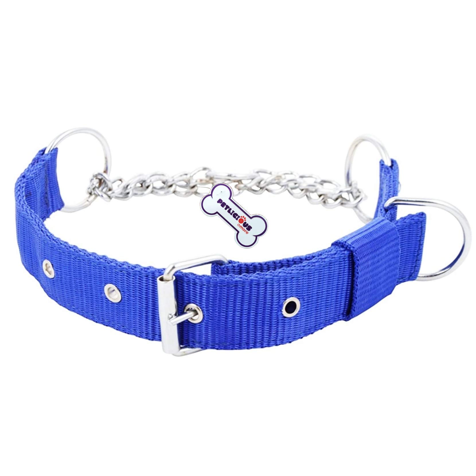 Petlicious & More Tough Nylon Made Choke Collar (Thick - 0.75 Inch, Neck Size 18" to 22" Inch) for Small & Medium Breed Dogs - Blue (B08P5X957Q) Amazon Price History, Amazon Price Tracker