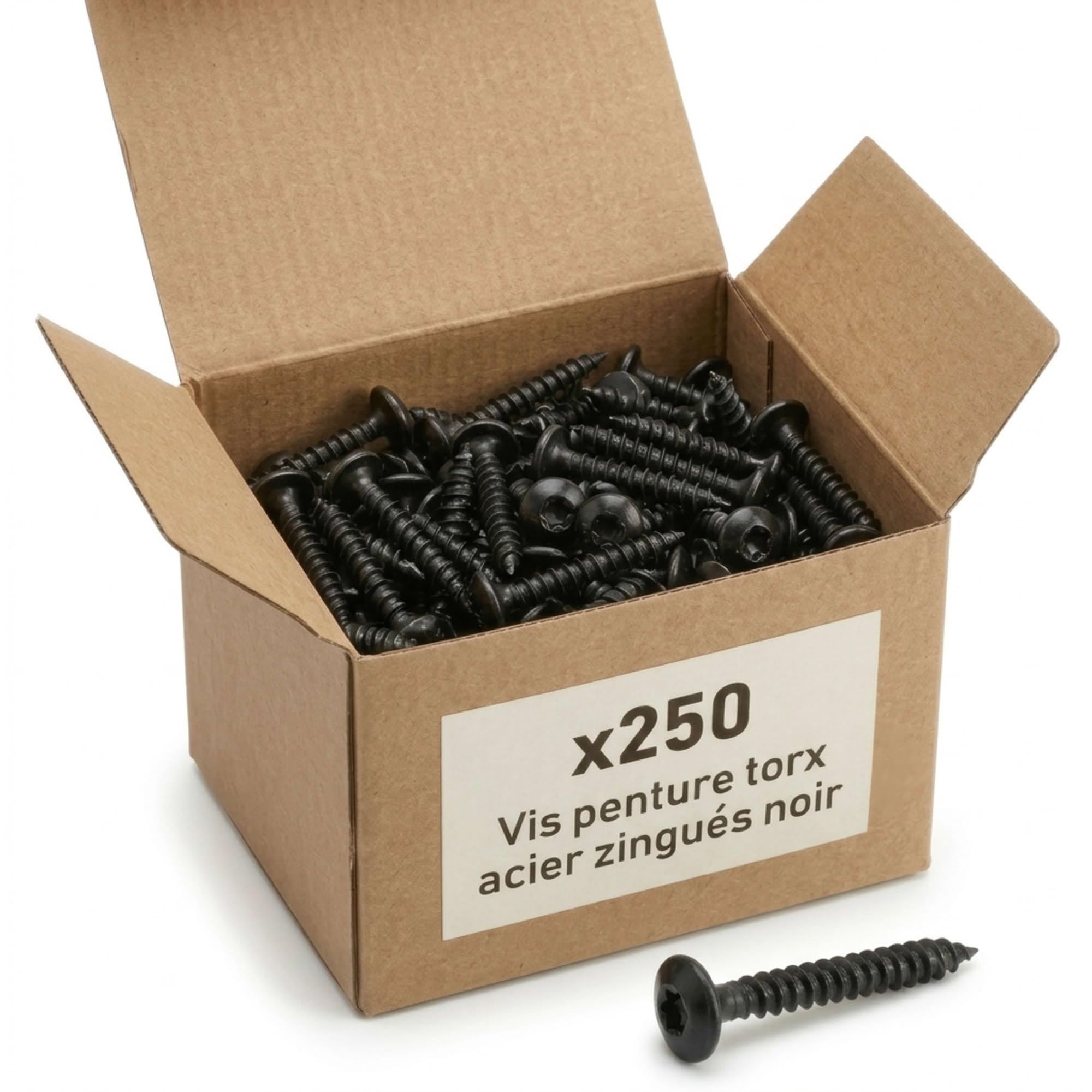 250 Vis Penture Torx acier zingués Noir 6,0 mm - diamètre 6 mm - Longueur 20 mm