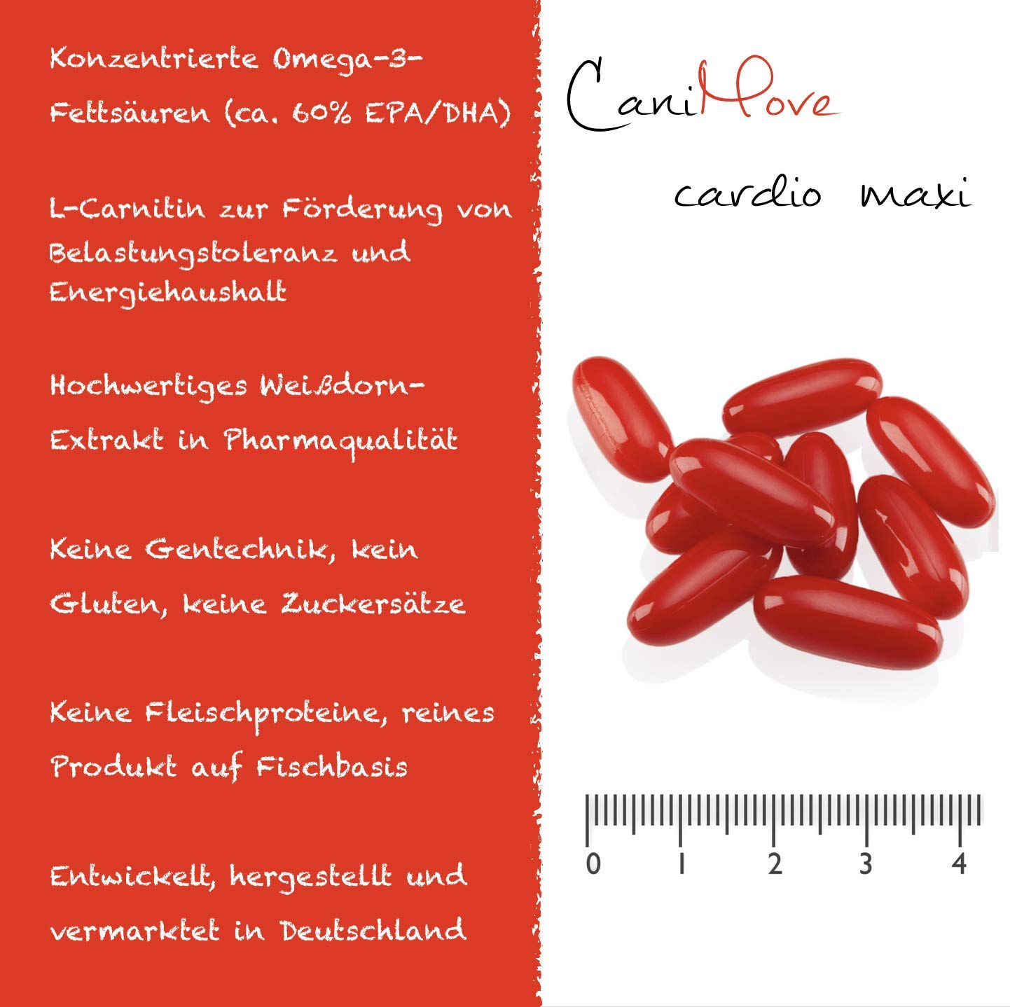 Spar-Bundle Senior + Cardio Maxi - 1 Packung (100 Kapseln) CaniMove Senior Maxi und 1 Packung (100 Kapseln) CaniMove Cardio Maxi - Ideal für ältere Hunde mit Problemen von Herz, Hirn oder Augen.