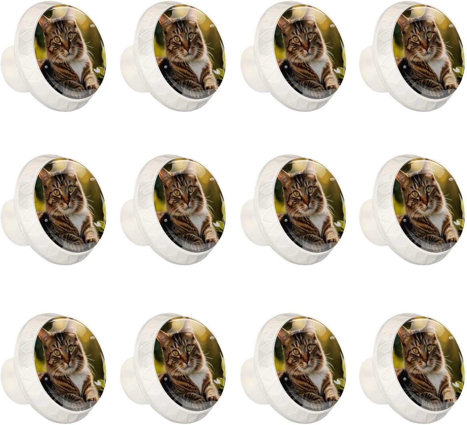 Black White Magnolias (3) Decorative Furniture Knobs, Round Cabinet Pulls for Kitchen Cupboard, Easy Install Drawer Knobs for Home