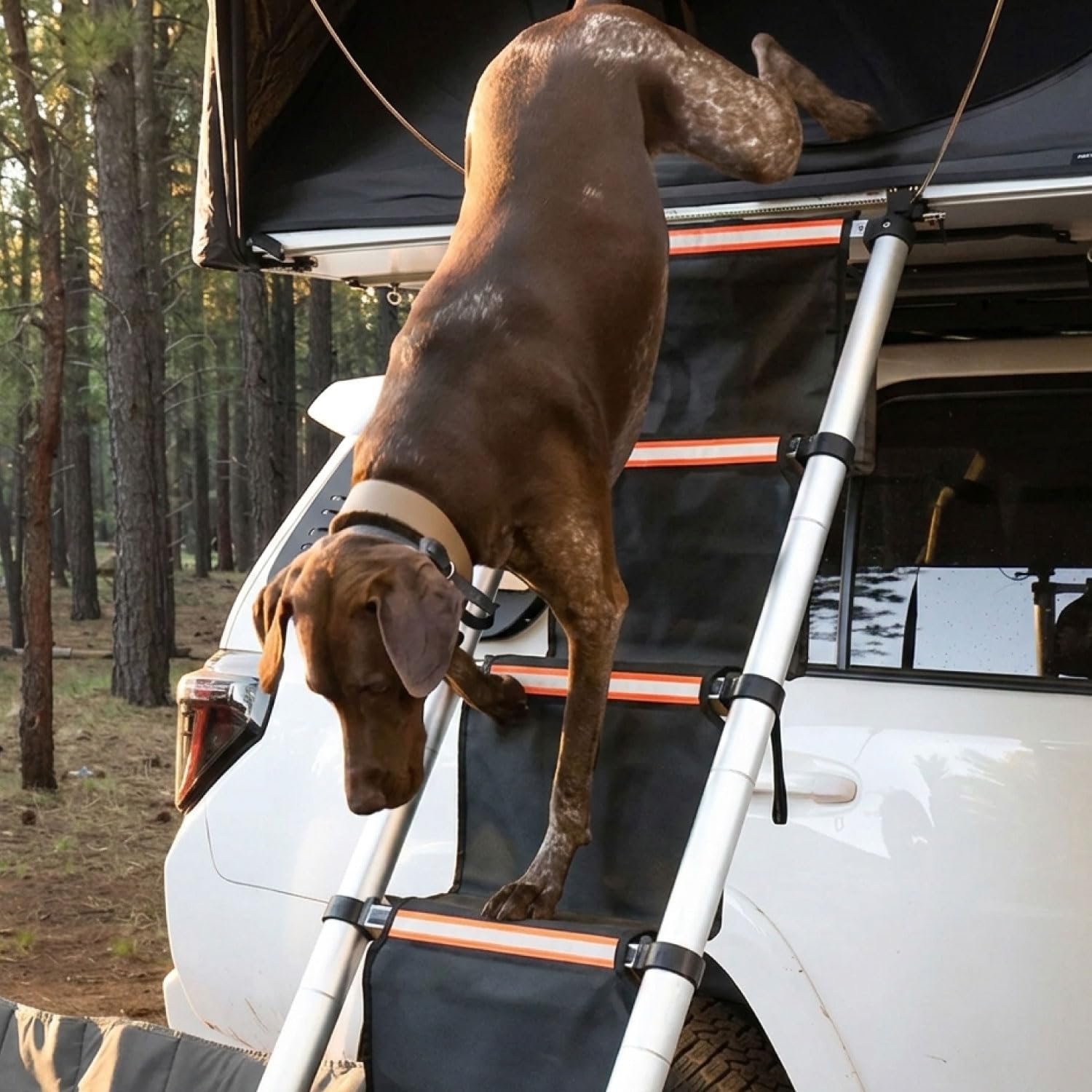 Marches Antidérapantes pour Échelle de Tente de Toit – Revêtement de Sécurité pour Enfants, Adultes et Animaux – Accessoire Camping 4x4
