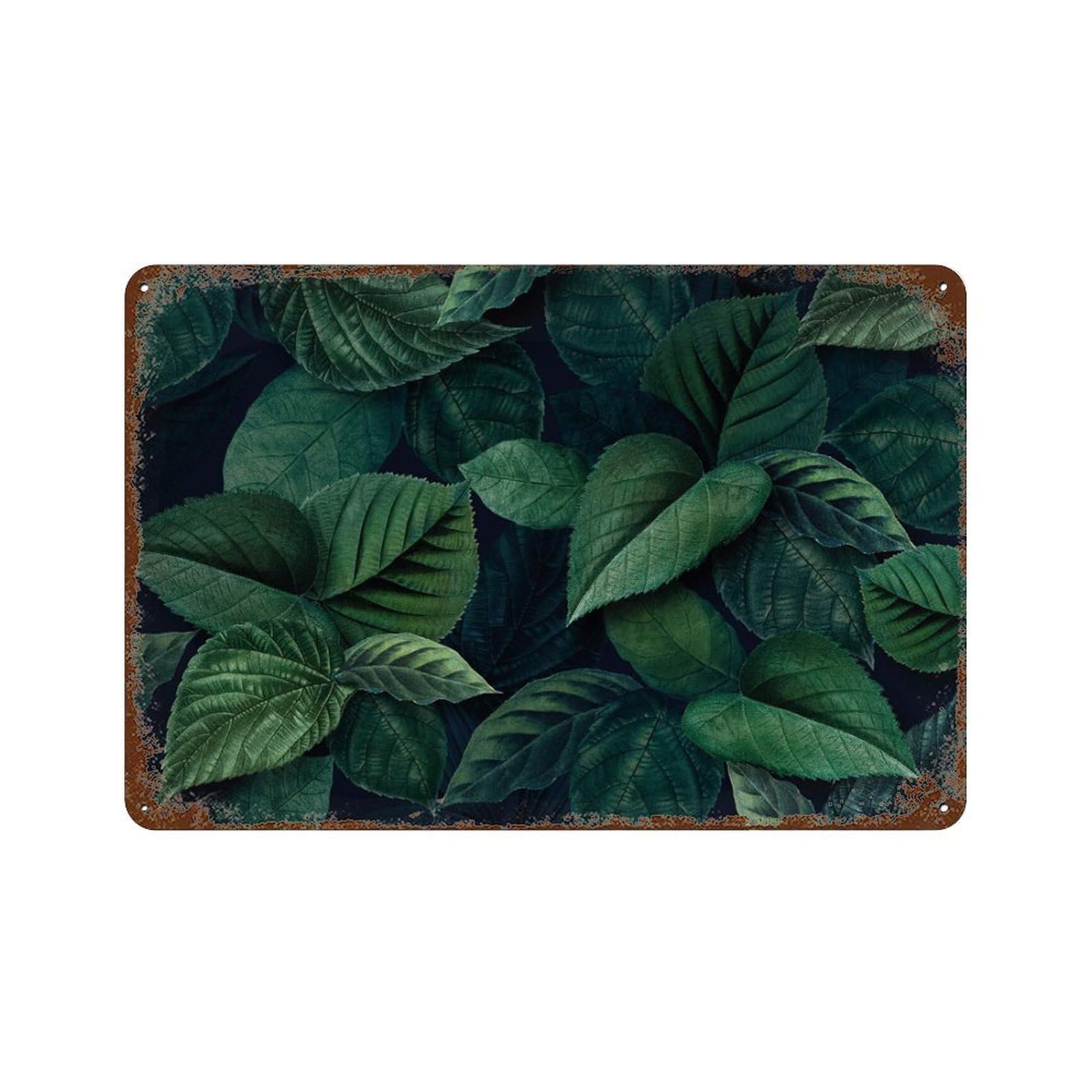 xiaoxiaoshen Tropical Green Leaf Botanical Wall Decor Art Metal Tin Poster Modern Home Decor Art Home Bar Shop Decorations Vintage Sign 20x30cm