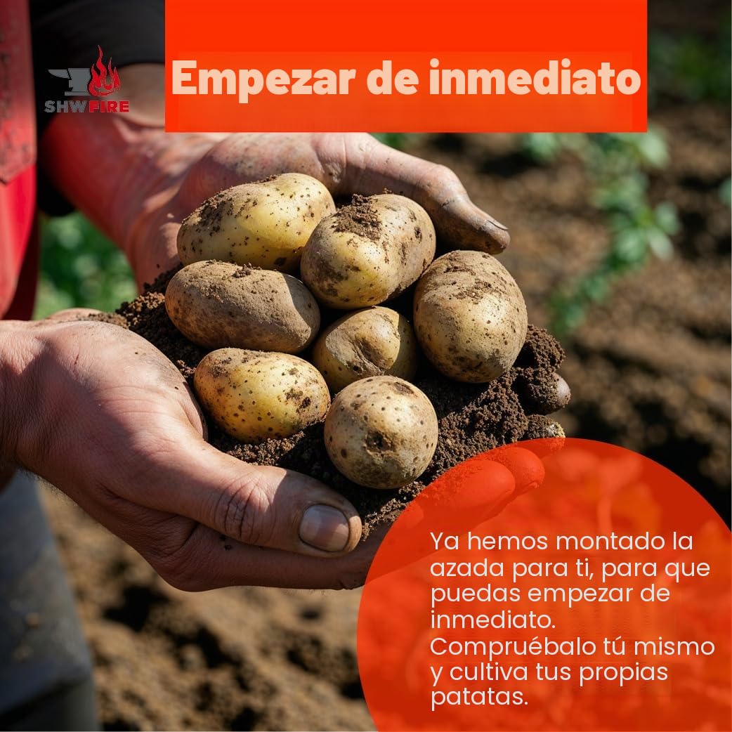 SHW-FIRE | Azada para patatas de 4 dientes forjada, mango ergonómico de madera de fresno de 135 cm, resistente y duradera, ideal para labranza del suelo, cosecha de patatas y recogida de heno |