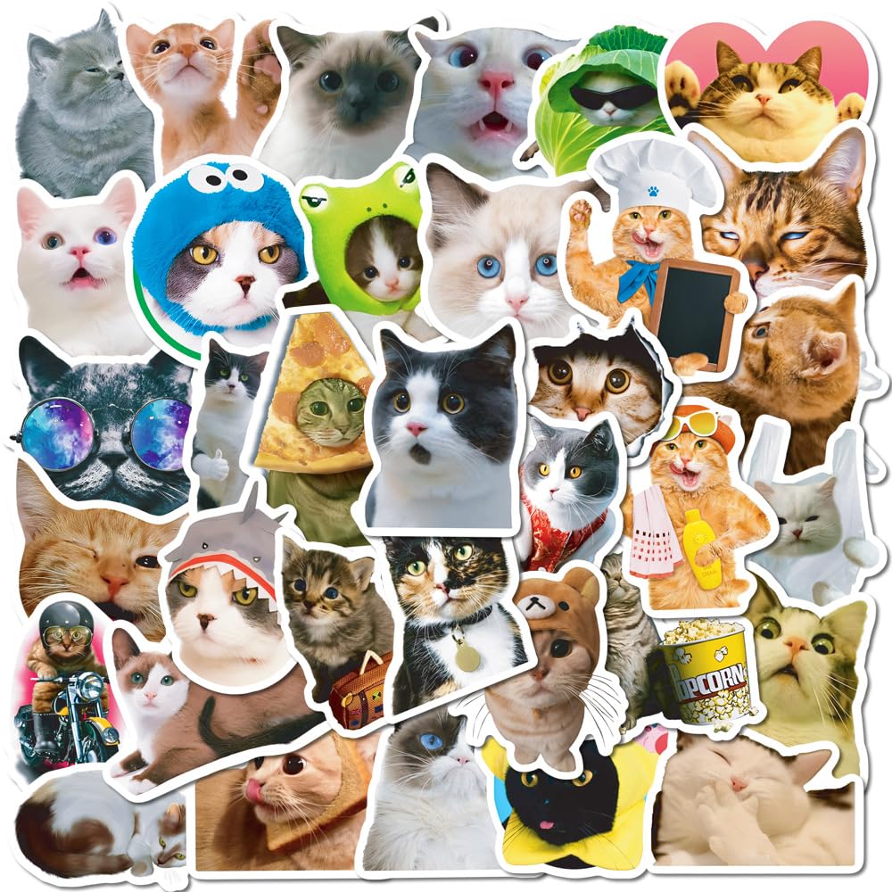 50 pezzi adesivi animali carini, adesivi per bottiglie d'acqua impermeabili, decalcomanie animali, adesivi per laptop animali natura, decorazioni per camerette per bambini (Forma B