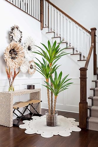 Miniatura 4 de Árbol artificial para interiores de 5.57 pies, árbol de yuca tropical falso con 3 cabezas en maceta, plantas falsas de dracaena, palmera en maceta,