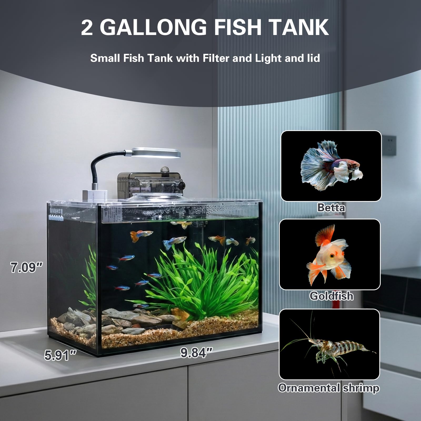 Aquarium de bureau sans bord ultra-transparent (noir, 7,7 litres (kit complet)