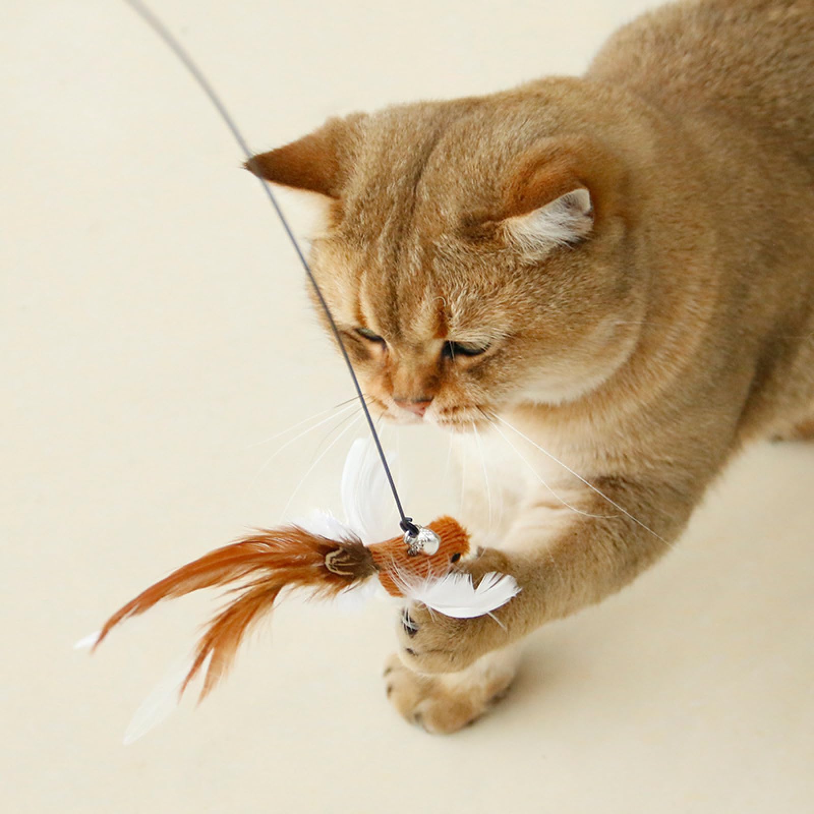 Juguetes para Gatos, Juguetes for Gatos, Varita de Plumas con Manos Libres y Campana, Potente Ventosa, Juguete Interactivo for Cazar Hacer Ejercicio, 1 Unidad, 29 Unidades
