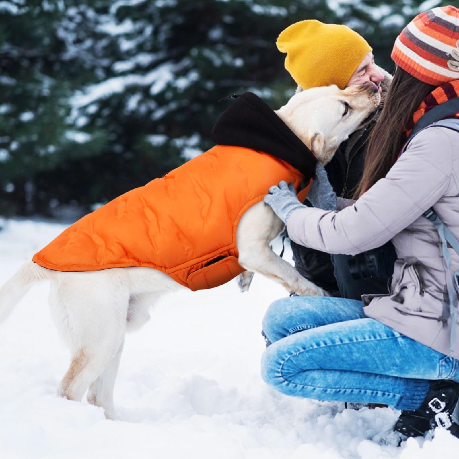 DORA BRIDAL Veste chaude et légère avec capuche pour chien - Veste réfléchissante pour temps froid - Pour chiens de taille moyenne - Orange - Taille M