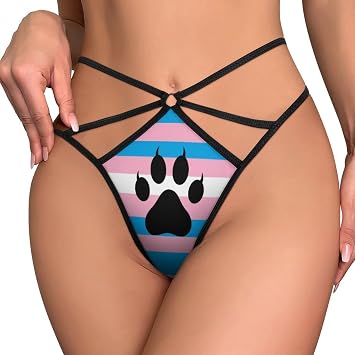 Transgender Furry Pride Flag Womens T Back Low Rise Thongs Sexy Underwear G-String Panties