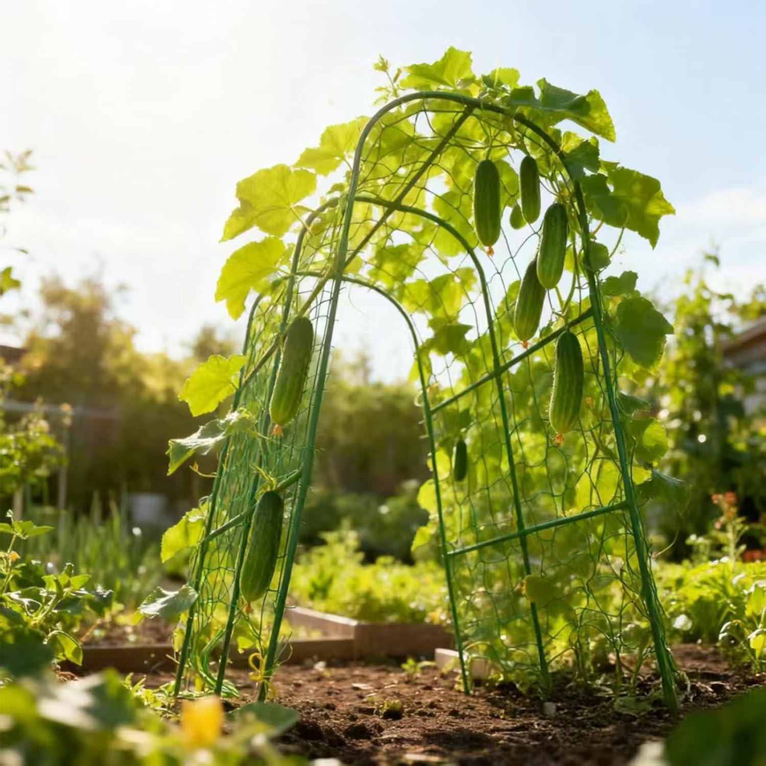 Cucumber Trellis for Raised Beds & Gardens - Sturdy Arch Trellis for Climbing Plants, Tomatoes, Peas & & Beans | Outdoor Vegetable Support for Vines (30" Lx30 W x47.2 H)