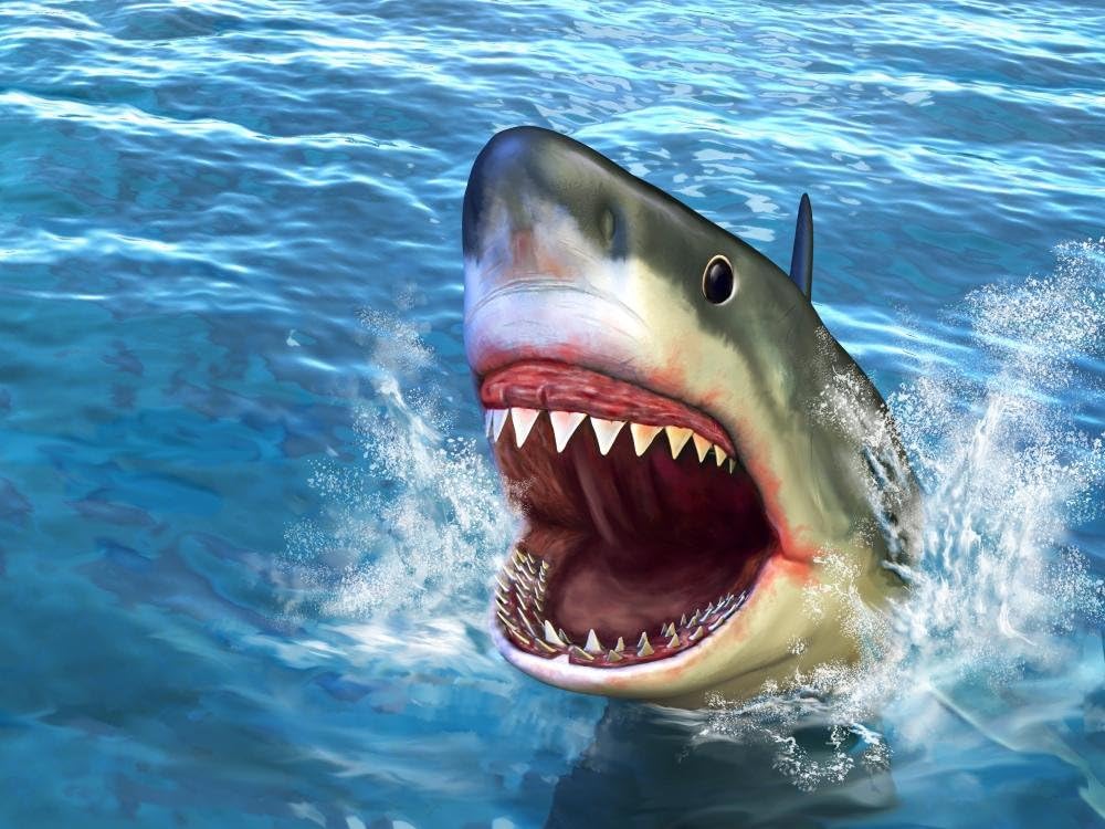Wallmonkeys Shark Attack Wall Decal Peel and Stick Graphic WM118107 (18 in W x 14 in H)