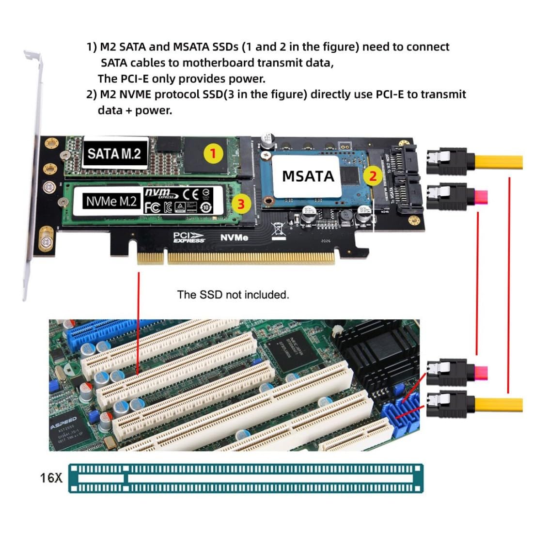 Amazon.com: chenyang 3 in 1 M.2 NVME/NGFF/mSATA SSD to PCIe 3.0