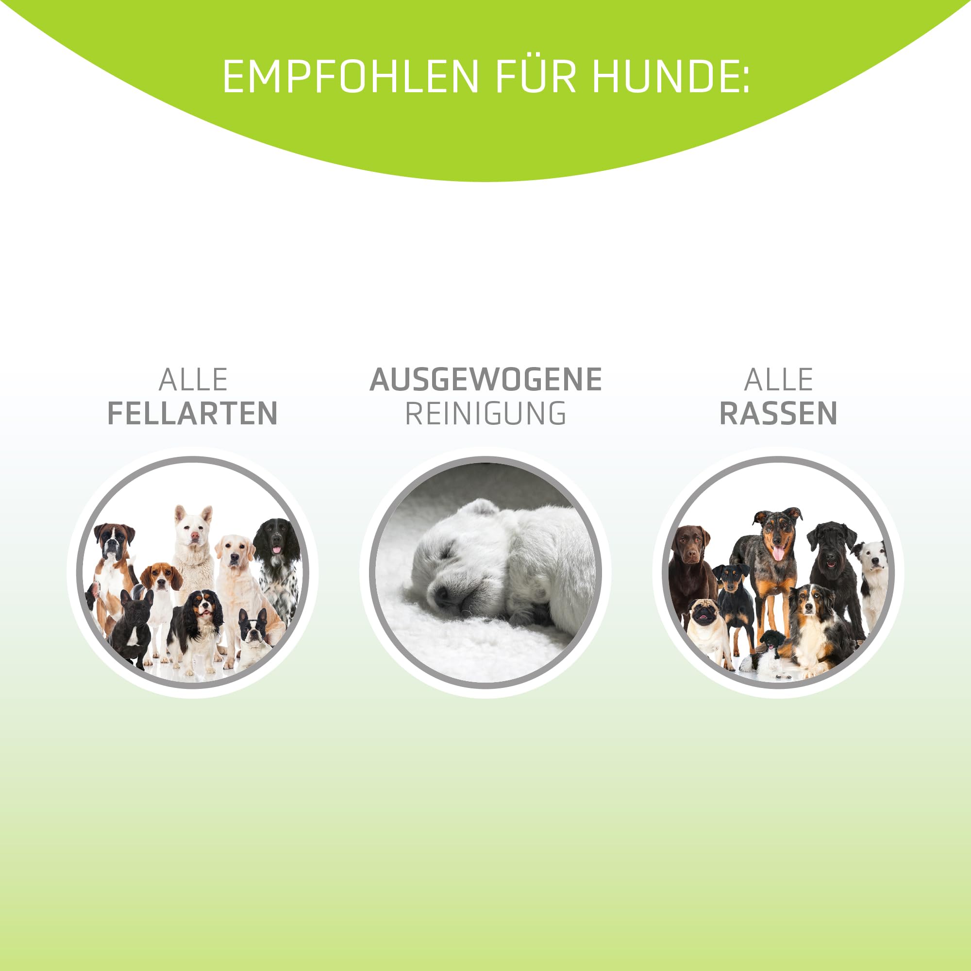 Artero Basic Hundeshampoo 5 Liter - Salonkanister als neutrales Vorwaschmittel, sehr ergiebig, für jedes Fell