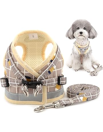 Cute dog harness brands Outlet