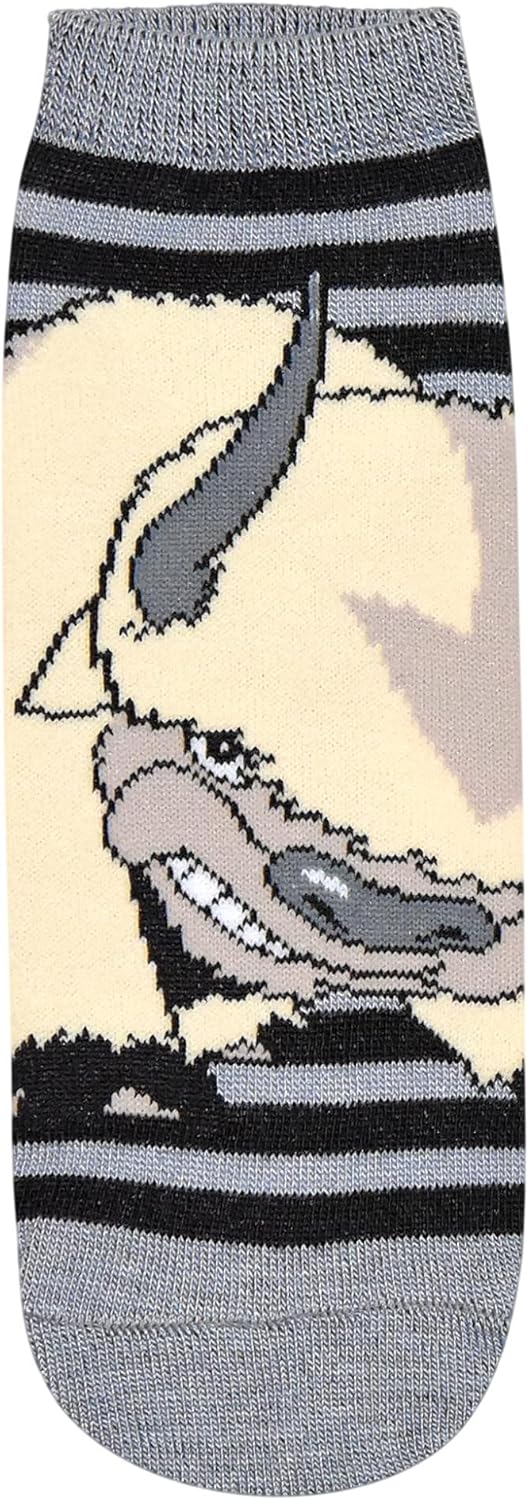 Hyp Avatar: The Last Airbender Aang Appa Yip Yip Striped Juniors/Womens 5 Pack Ankle Socks - Image 3