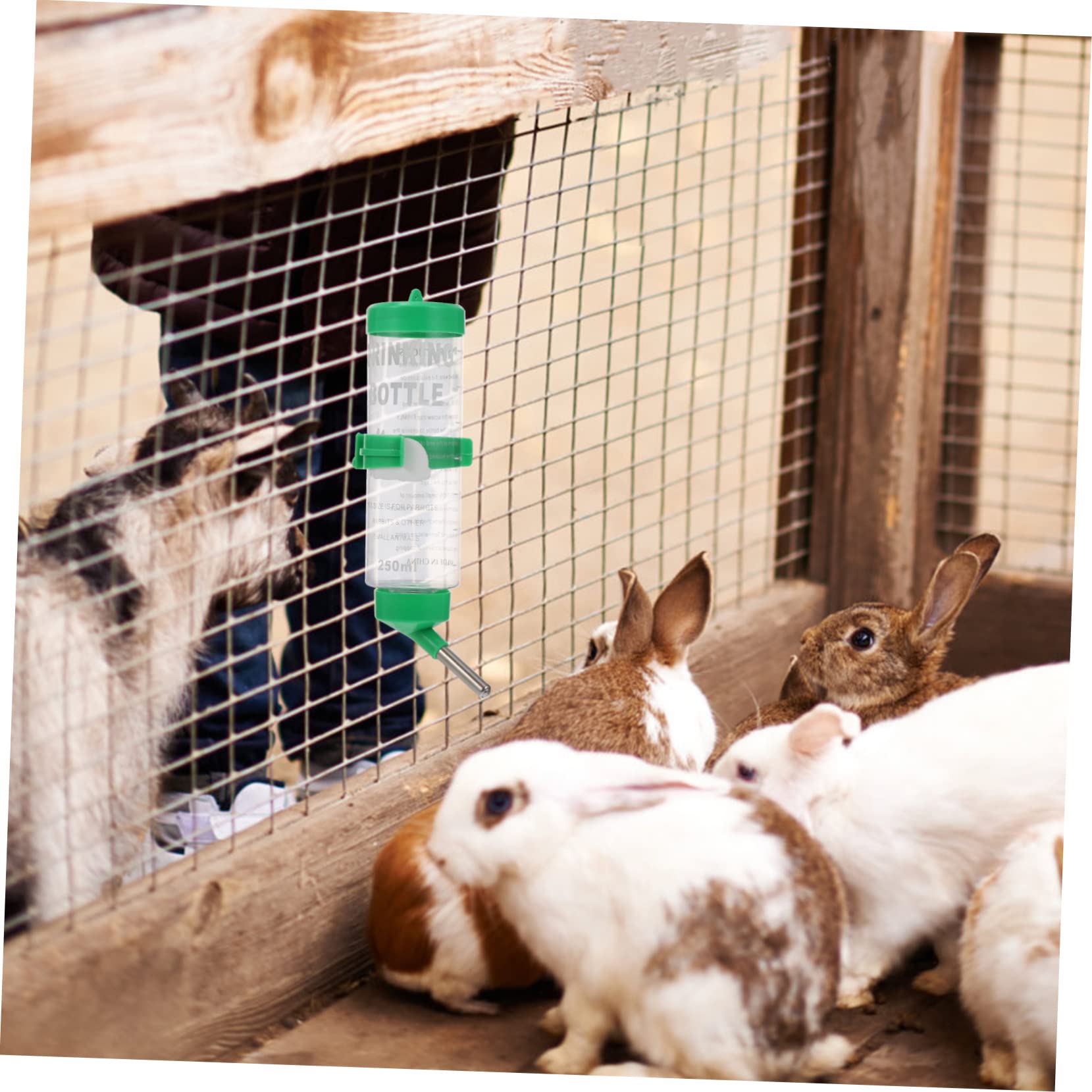 Housoutil 6 Piezas Bebedor de Conejos Bebedero Hamster Bebedero para Conejos Bebedero automático para Conejos Conejillo de Indias alimentador Botella para Beber Botella de Agua el plastico
