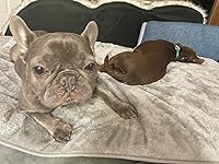 Review Image by liming liming