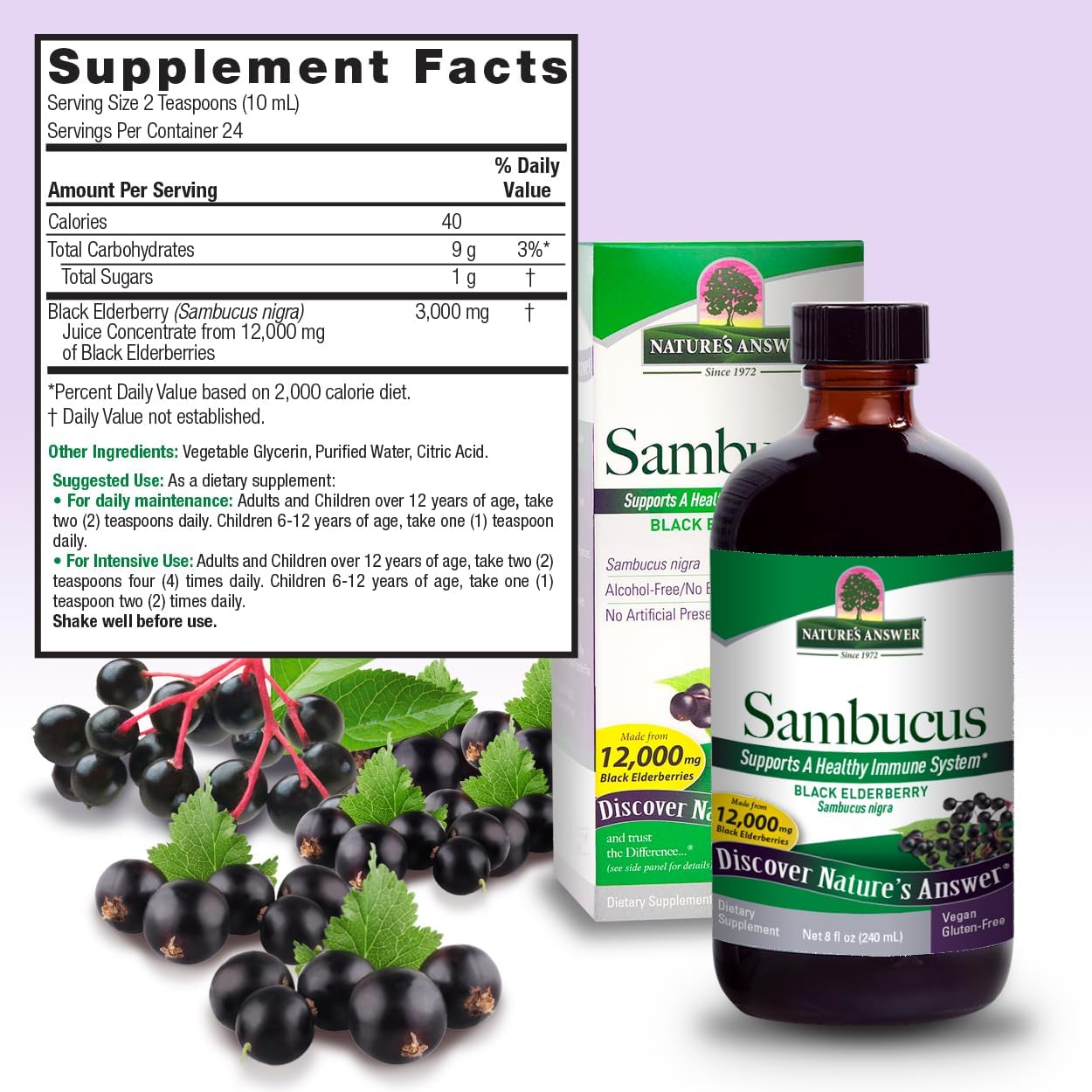 Nature's Answer Sambucus Elder Berry Extract Syrup 8 Ounce ( 3 Pack ) | Daily Immune Support | Packed with Antioxidants | Family Friendly | Flue Season Defender