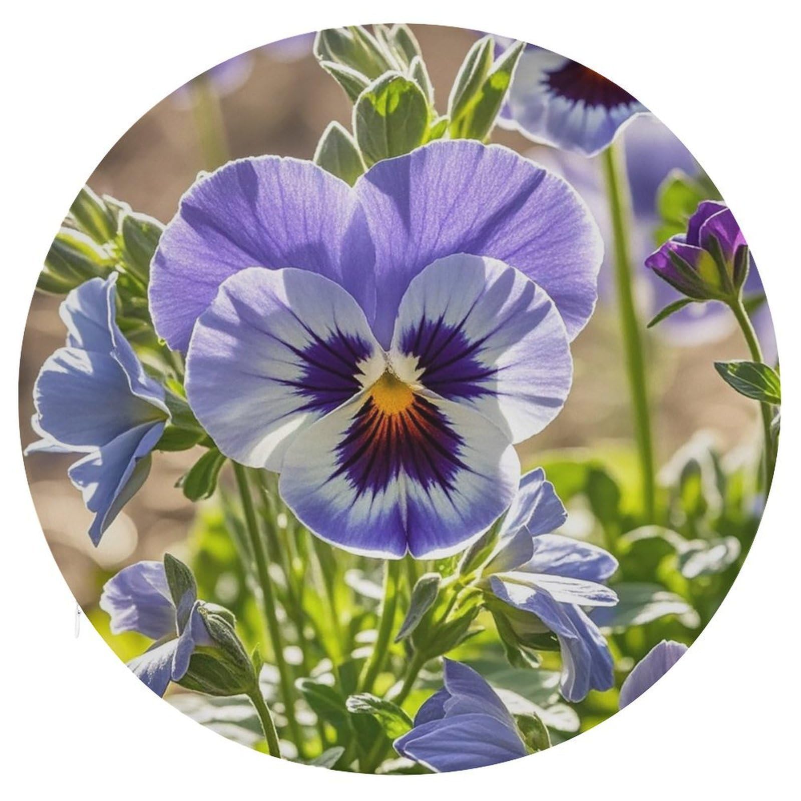 FekiLoot Pansy Perfect Chair Cushion Round Memory Foam Seat Cushion Soft Circle Chair Pad with Removable Cover Fashion Decorative Stool Pad for Bedroom Sofa Kitchen Office 15.3" X 15.3"
