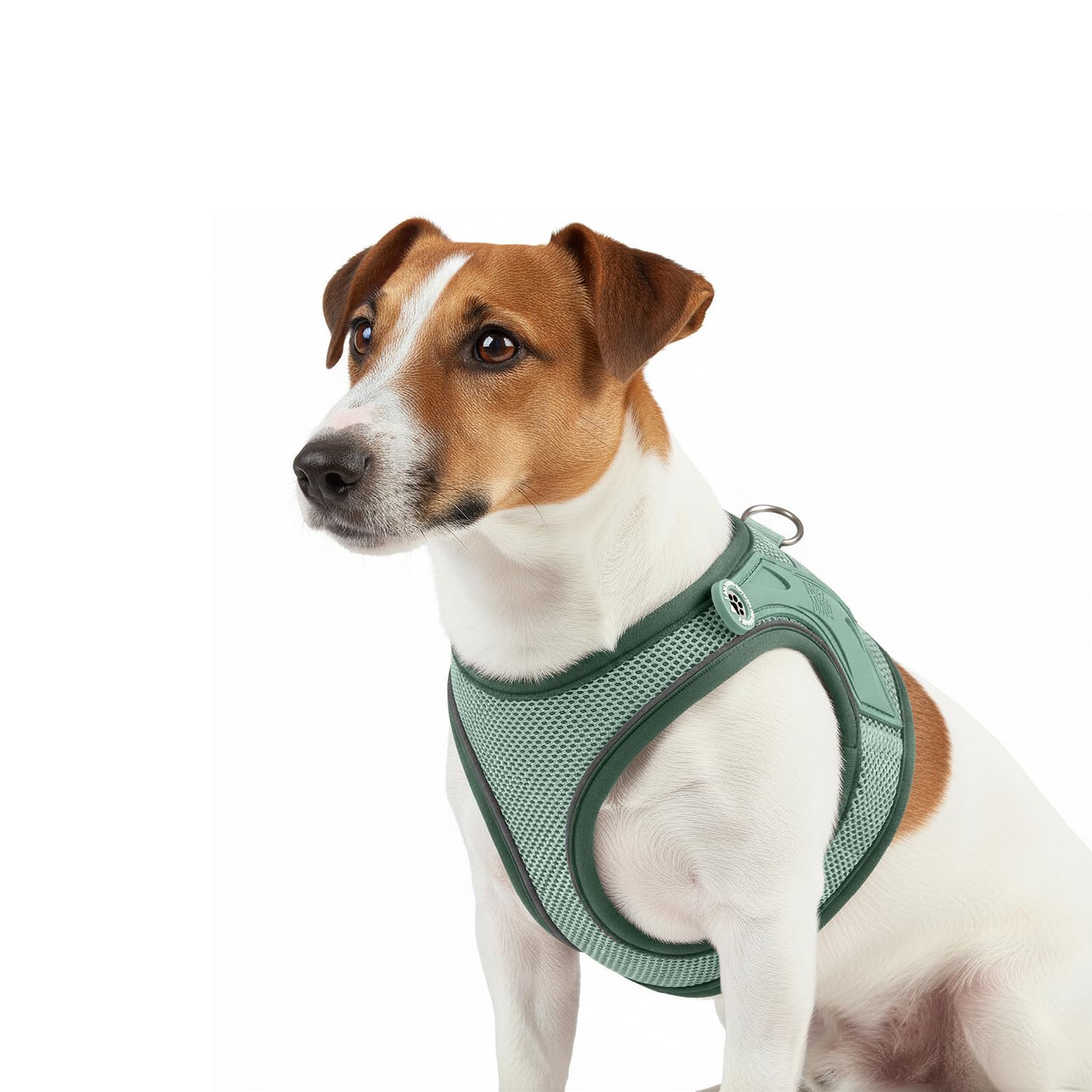Max & Molly Hundegeschirr Matrix 2.0 Jade/M als Air Vest Geschirr, Step-In Geschirr mit Gotcha! Smart ID, Außenseite aus leichtem Air Mesh Material - Komfort für deinen treuen Begleiter