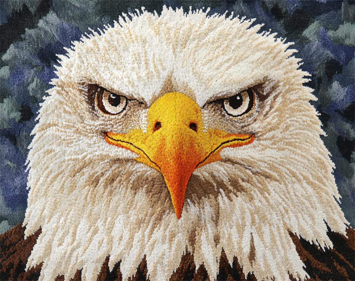 N.LANSHAN Animal Diy Création De Tapis Et Canvas Portrait D'Aigle Kit De Fabrication De Tapis Au Crochet，Kits De Bricolage，Tapisserie，Coussin，Motifs Pré-Imprimés 90x120cm