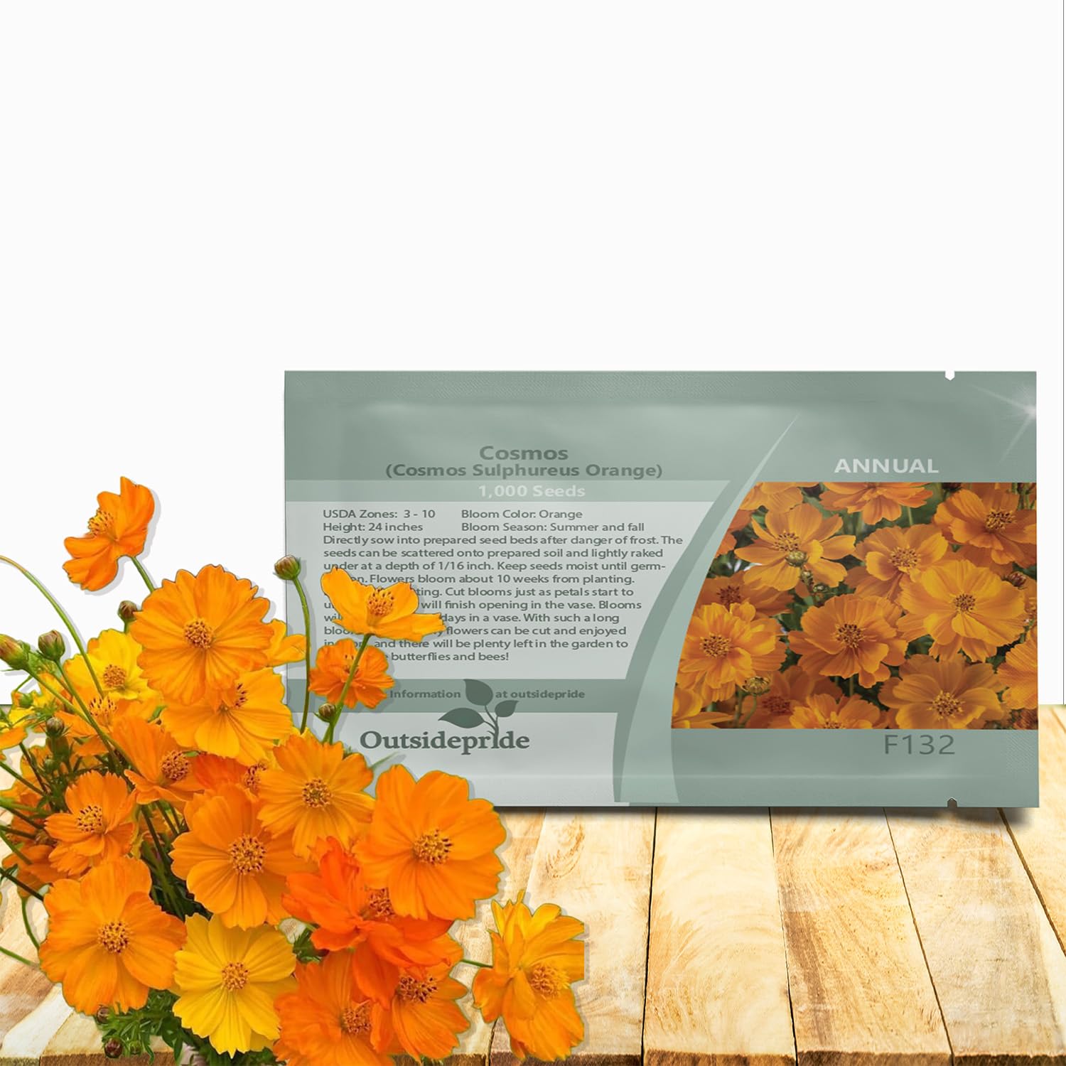 Amazon.com : Outsidepride Orange Cosmos Sulphureus Seeds - 1000