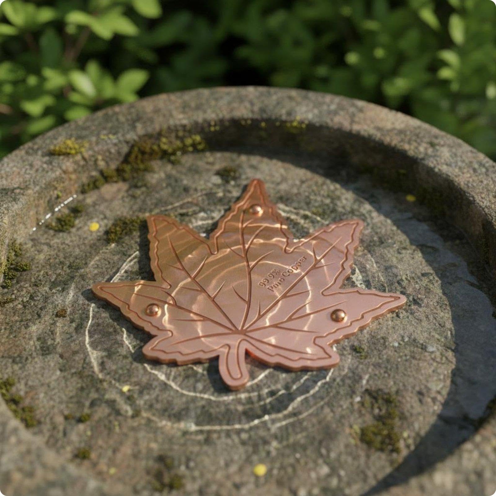 Bird Bath Disk Birdbath Purification Disc Easy to Place Copper Cleaning Disk Style a-image-28