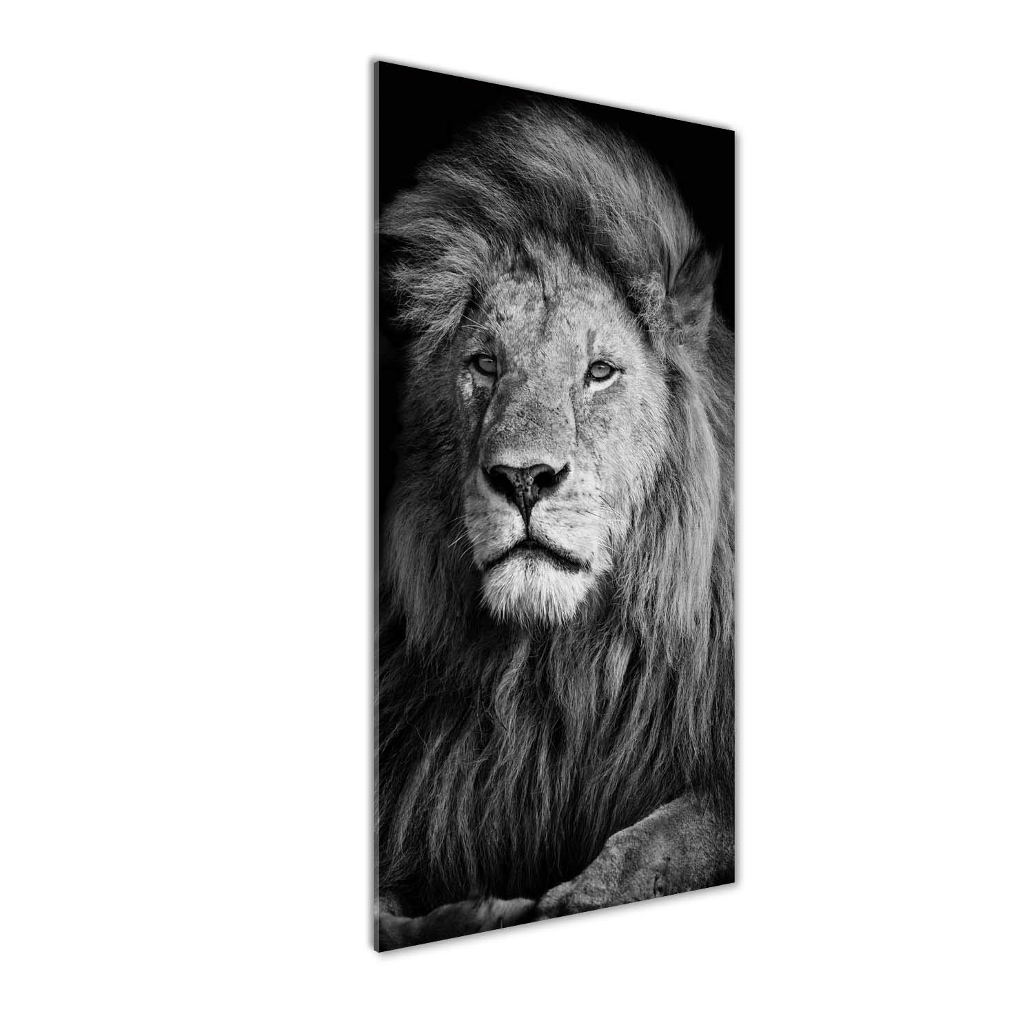 Tableau sur verre trempé lion Tulup 50x125cm décoration murale luxe