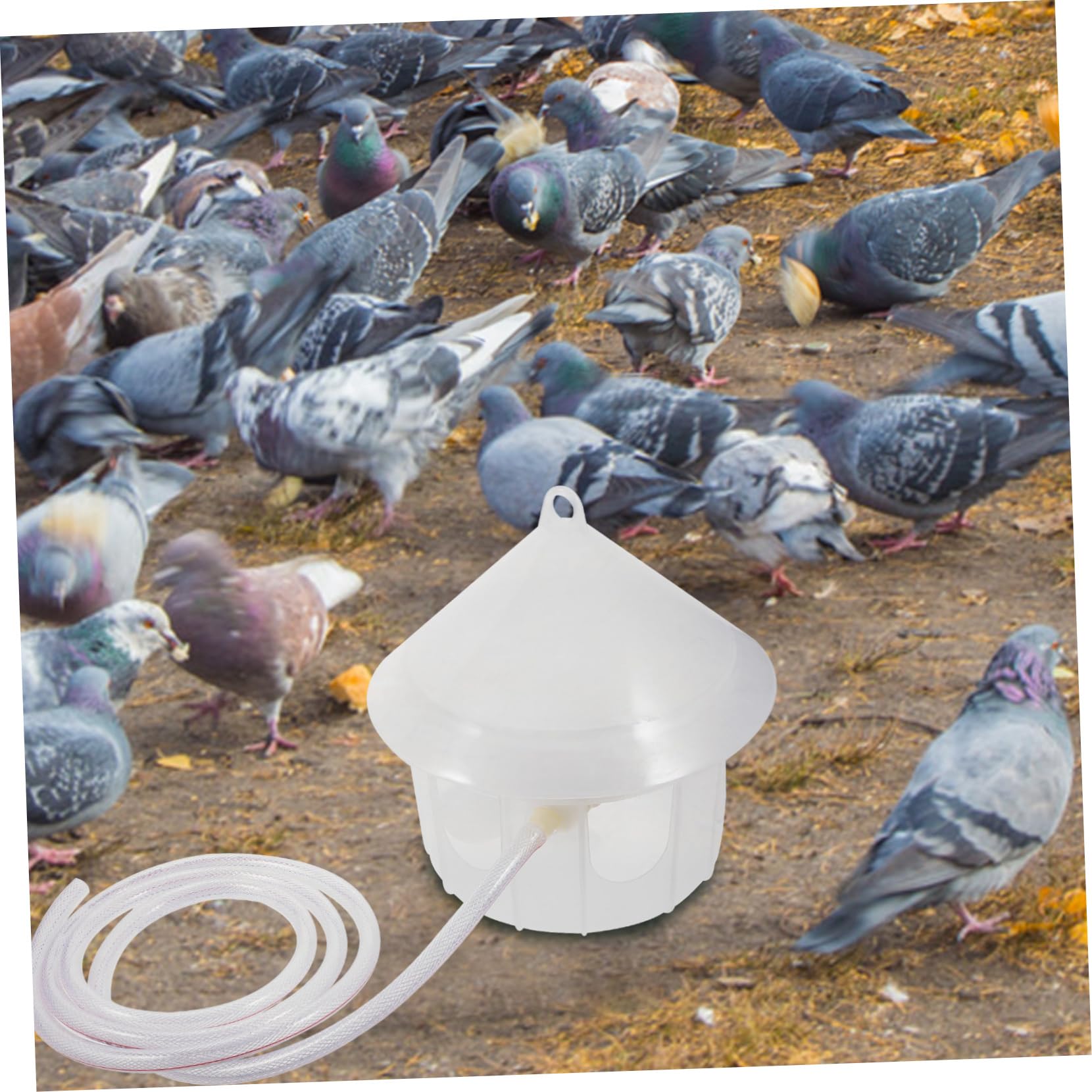 Abreuvoir Automatique pour Pigeons, Plastique, Grosse Capacité