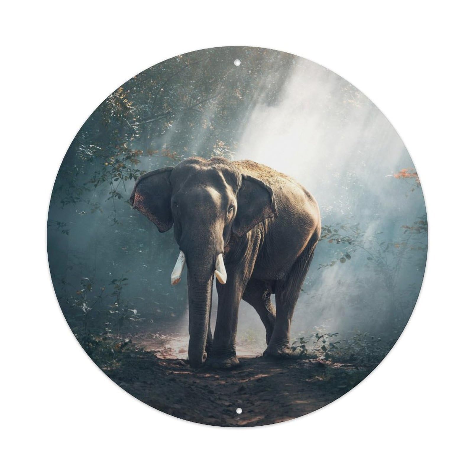 Animals Elephant in The Forest Metal Tin Sign