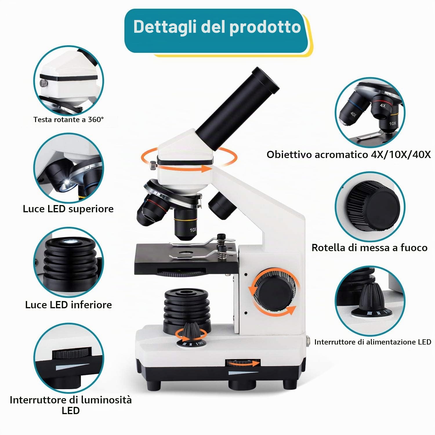 Microscopio per Bambini Studenti Adulti 250X-2000X Composti Biologic Microscopio Ottico per l'istruzione di ricerca scientifica biologica domestica del laboratorio scolastico