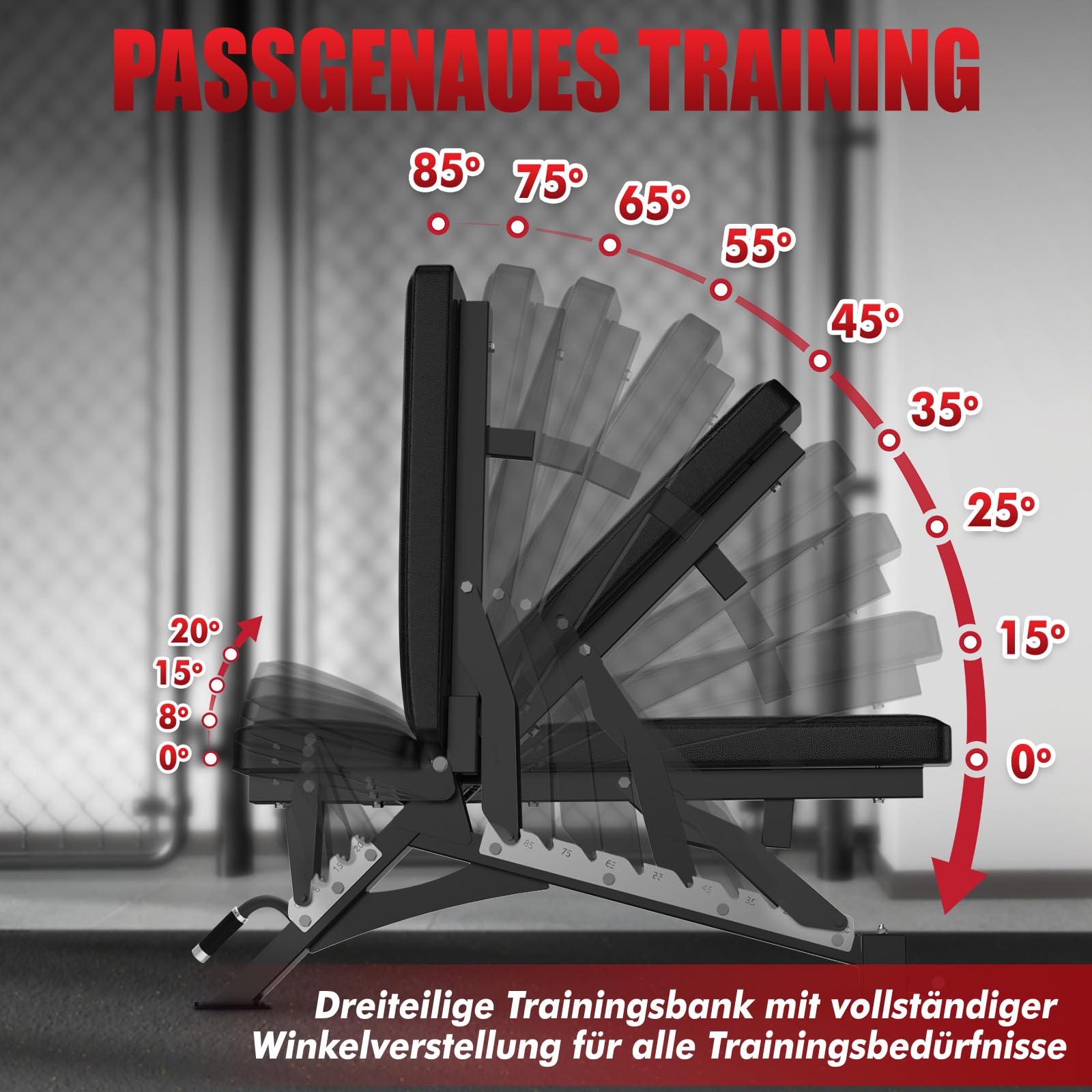 RitFit Hantelbank, Schrägbank, Trainingsbank Max. 590kg Tragkraft