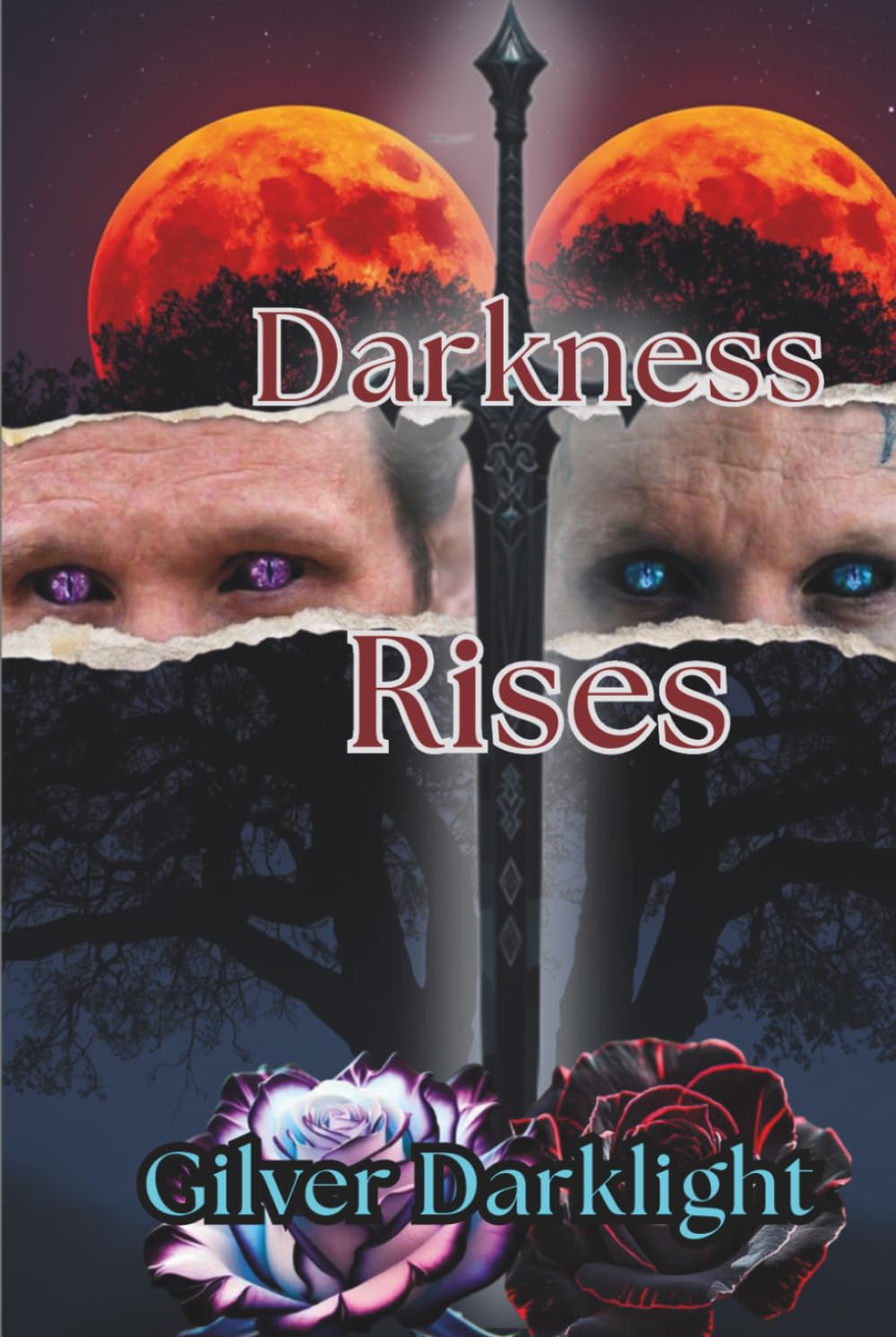 Darkness Rises: Book One of the Void and Shadows Series