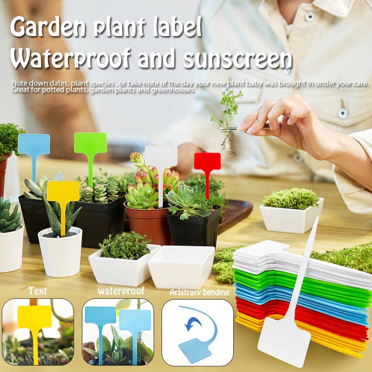 Wolfride 50Pcs Plant Markers, T-Type Plastic Plant Tags Nursery Garden Labels Waterproof Plant Sign 5 Colors for Outdoor Indoor Potted Herb Flower Vegetable - Image 5