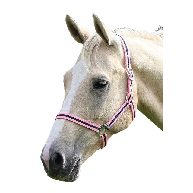 Foto 5 de 6 de Shires WESSEX - Caballo de nailon