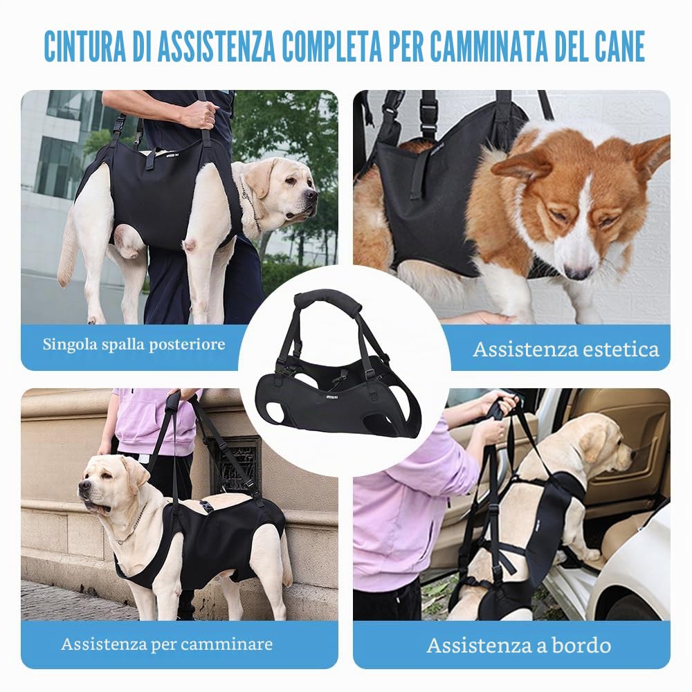 Imbracatura Cani Supporto e Recupero di Zampe Animali Domestici Vestibilità Regolabile per Cani Anziani Affetti da Artrite(M)
