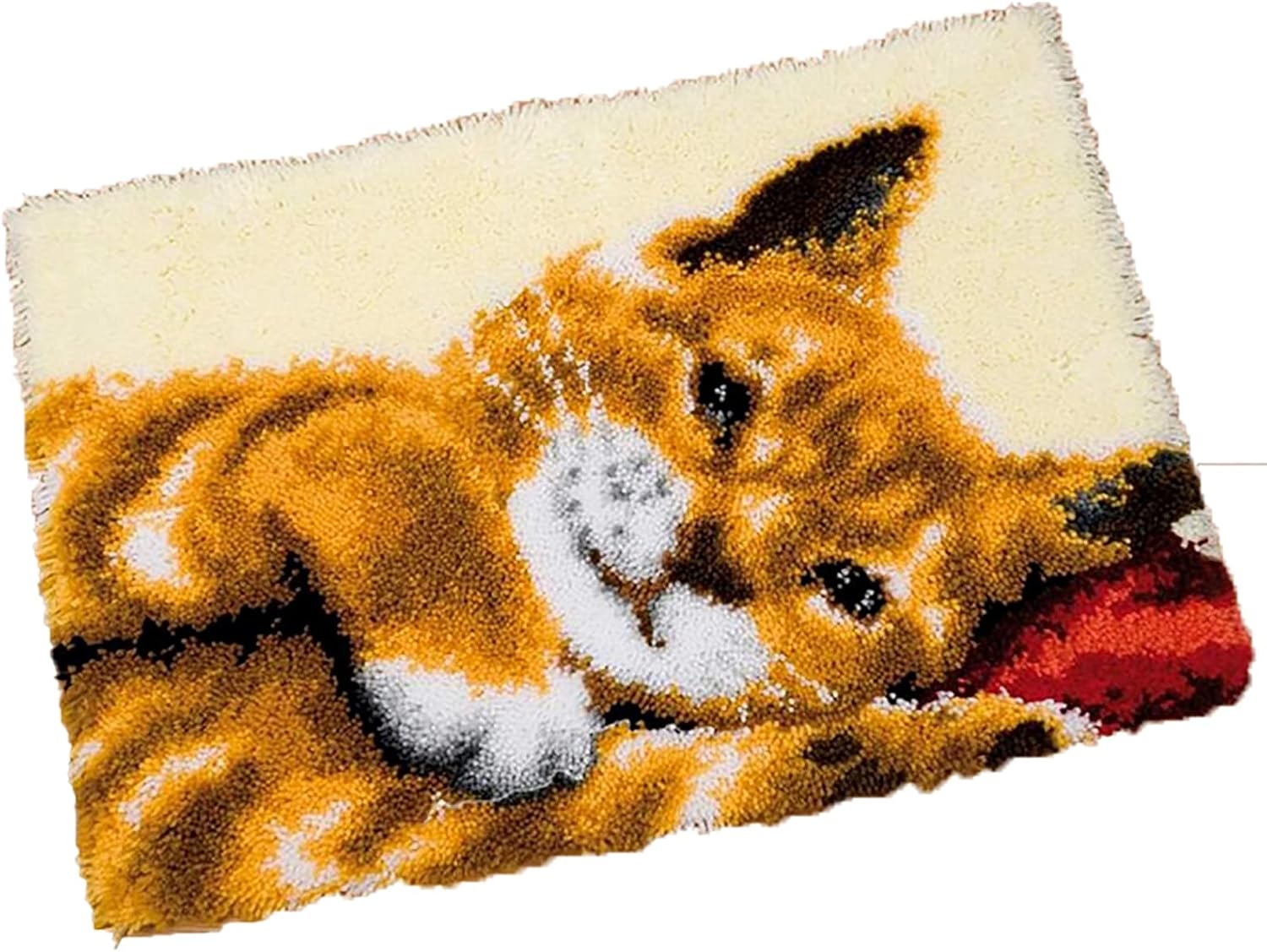 Latch Hook Kits for Adults 20.5 X 15 Inch DIY Needlework Unfinished Crocheting Rug Kit with Color Preprinted Pattern,Zd289