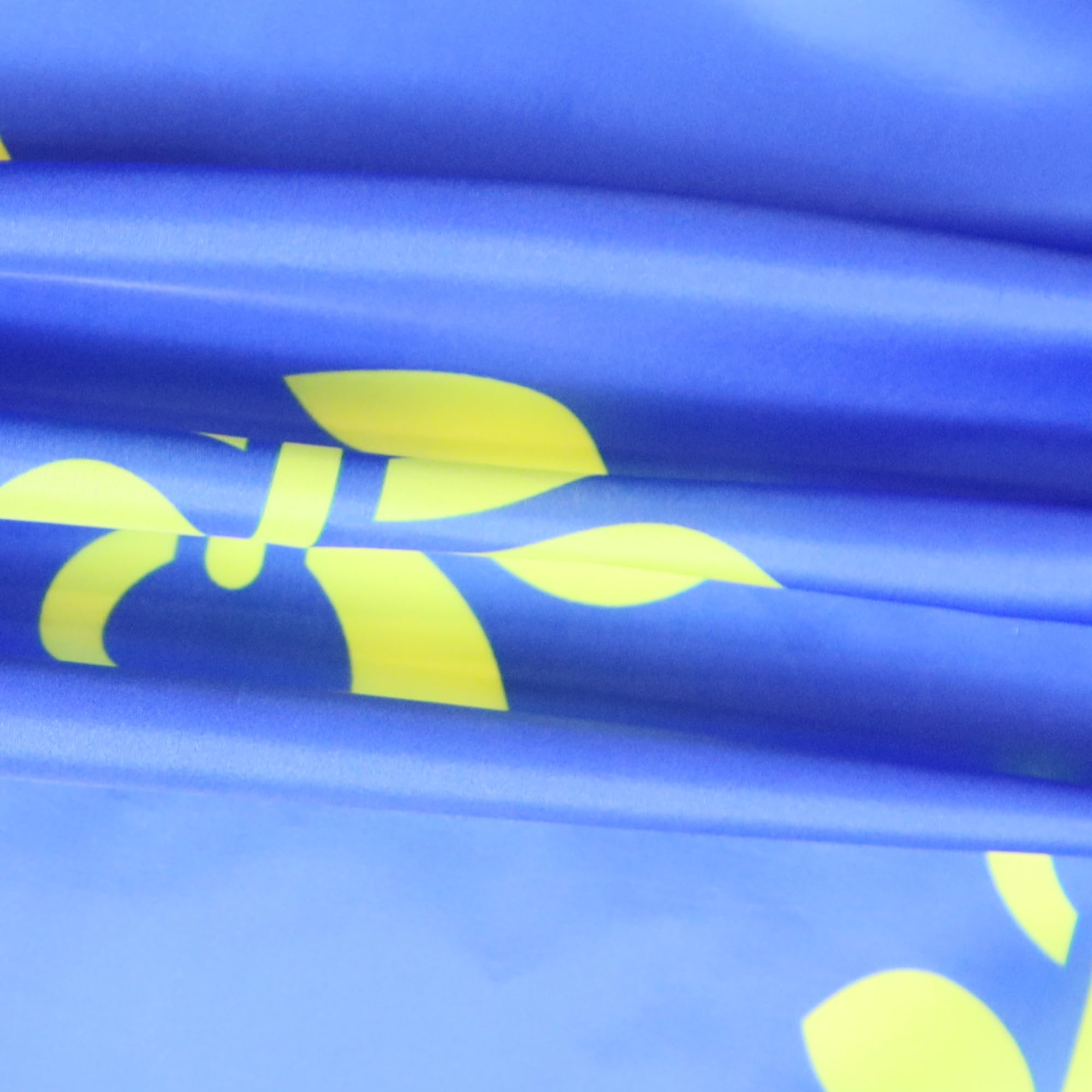 AZ FLAG, France Blue And Gold Fleur-De-Lis Flag, 2x3 Ft, 100D Polyester French Royal Banner with Two Metal Grommets - Image 3