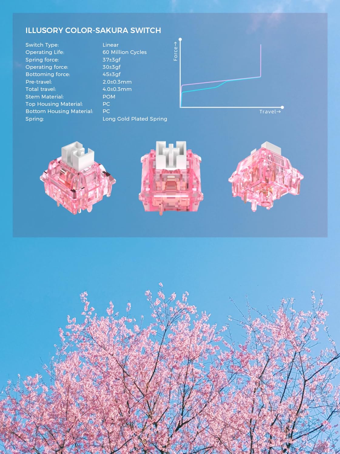 Amazon.com: KPREPUBLIC CIY Illusory Color Sakura Switch