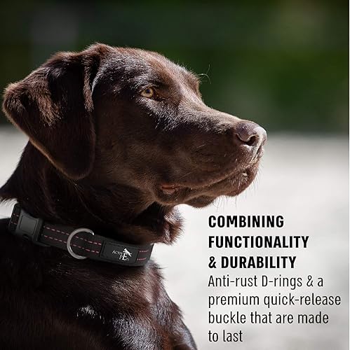 Miniatura 4 de Active Pets Collar de liberación rápida, collar transpirable para perros, collares para perros machos, collares para perros hembras, collares para