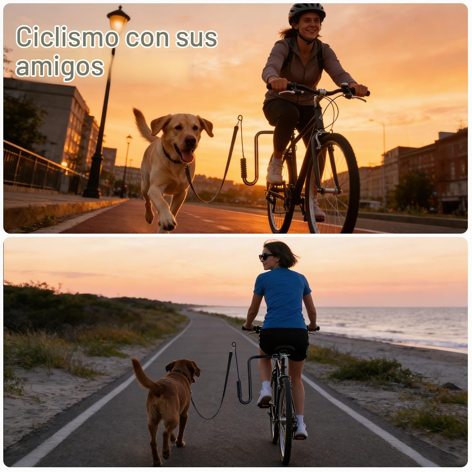 Correa para Perros Bicicleta, 180°Correa de Perro Ejercicio para Bicicleta, Ejercitador de Mascotas para Pasear Perros, Correr, Andar en Bicicleta, Correa Antitirones Perro Bicicleta