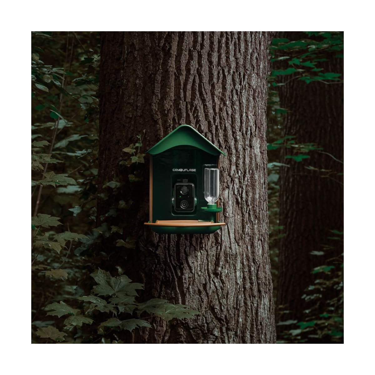 Camouflage - EZ Birdfeed Smart Futterstation