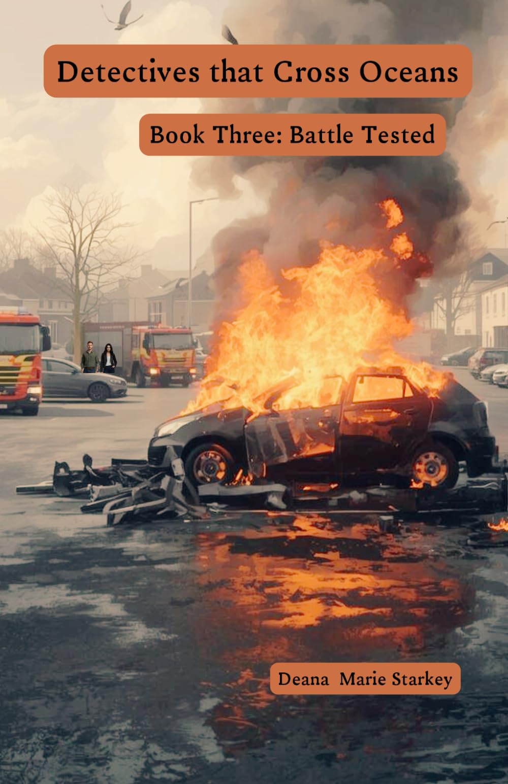 Detectives that Cross Oceans: Book Three- Battle Tested: 3