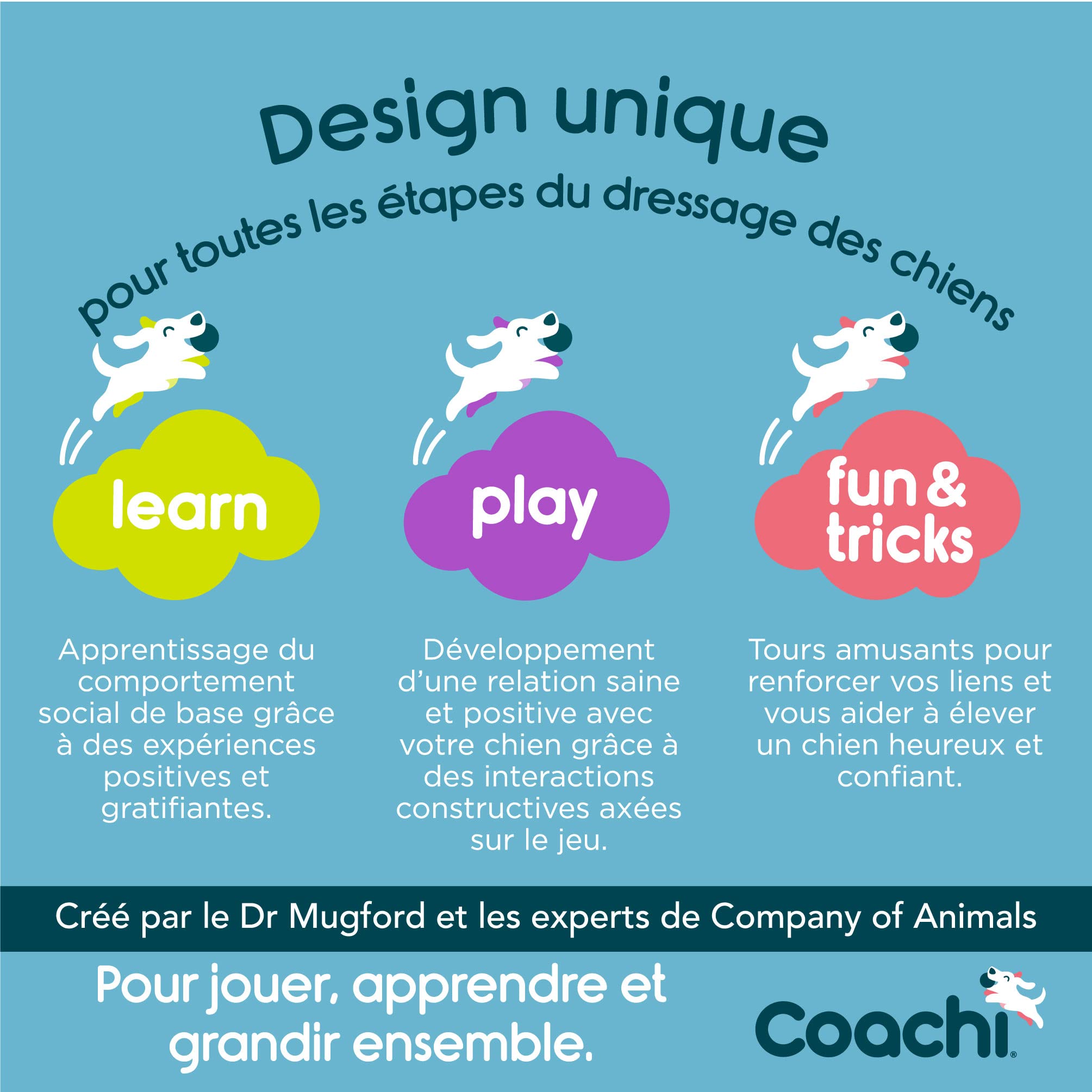 Canvas Training Dummy Coachi, Flotte, à Lancer, Classique des Jouets à rapporter, Dressage de Chiots et Chiens de Chasse. Accessoire pour Petits Chiens et Chiots.
