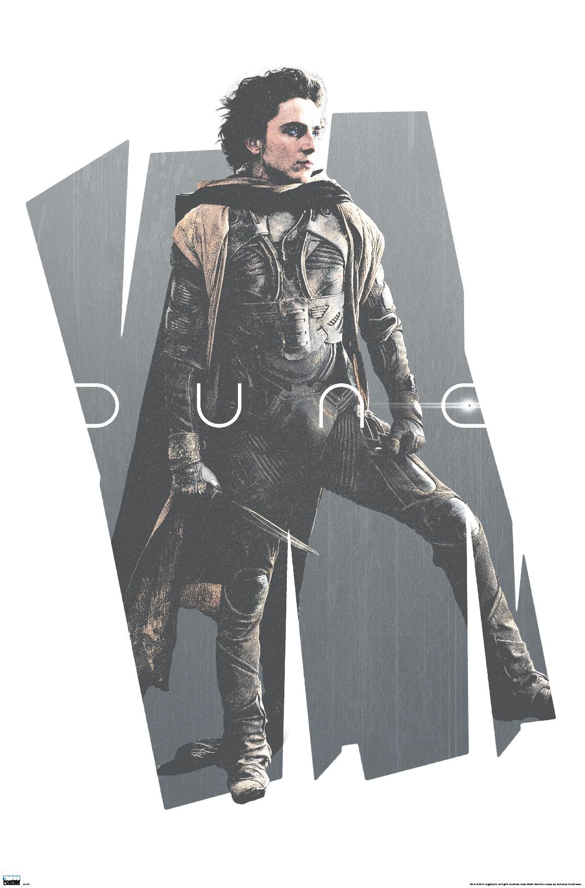 Dune 2 Paul Atreides Poster Review: Arrakis Chic Decor