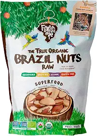 Castanha-do-Pará 500g Inteira – Fonte de Proteína Vegetal e Selênio – Vegana, Kosher, Sem Glúten, Sem Conservantes – Floresta em Pé