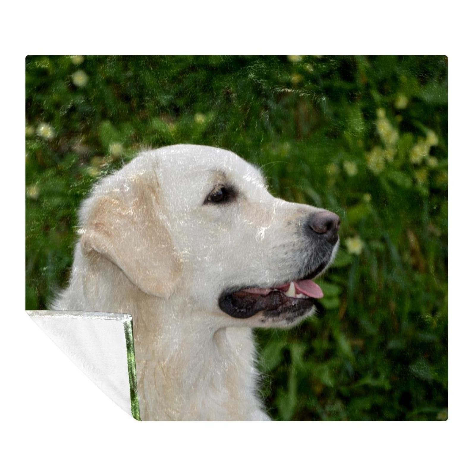 Couvertures chaudes et douces microfibre plaid Golden Retriever
