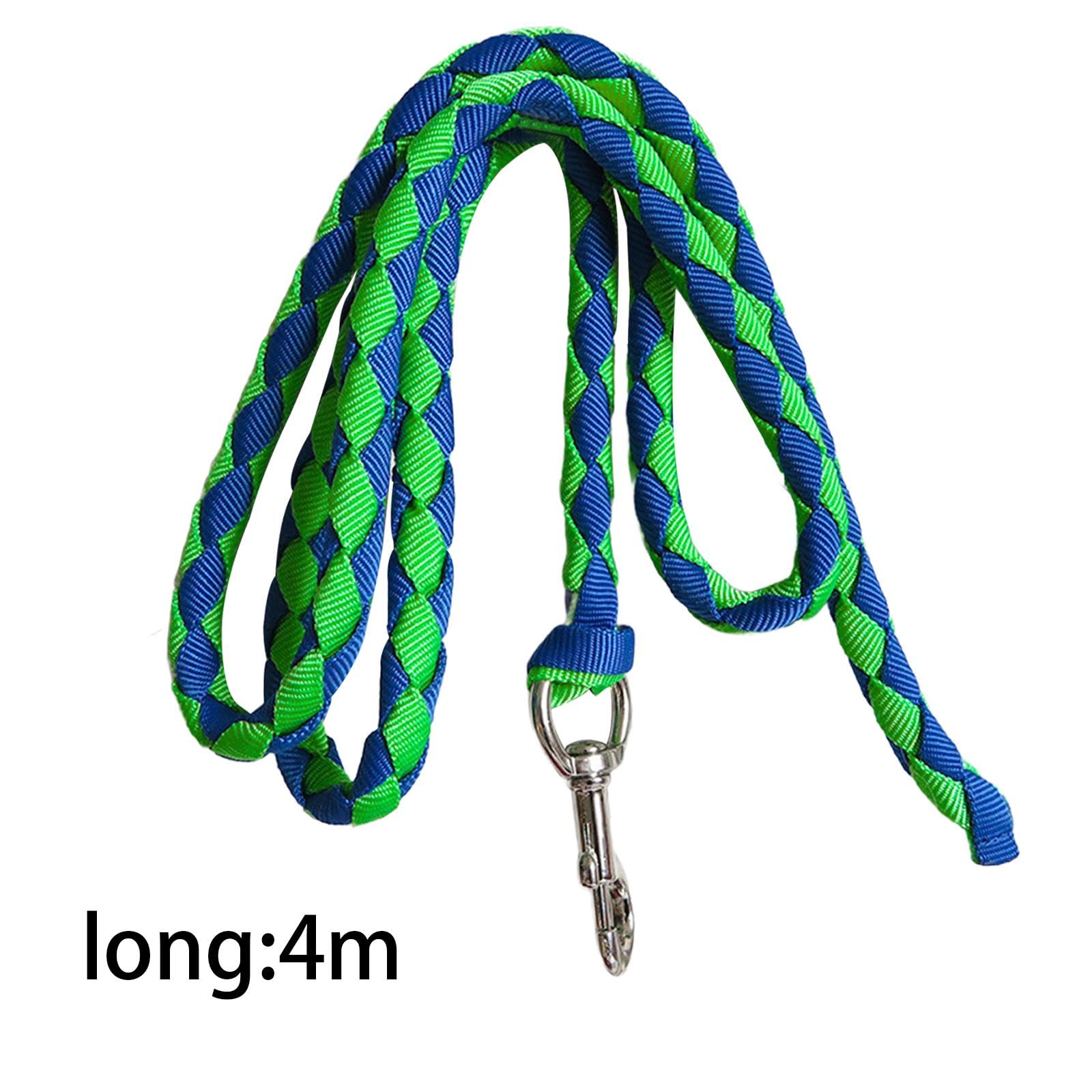 Guinzaglio Intrecciato con Moschettone, in Polipropilene, Attrezzatura da Equitazione per Scopi di Allenamento, Adatto alla Manipolazione, 4m Verde e Blu