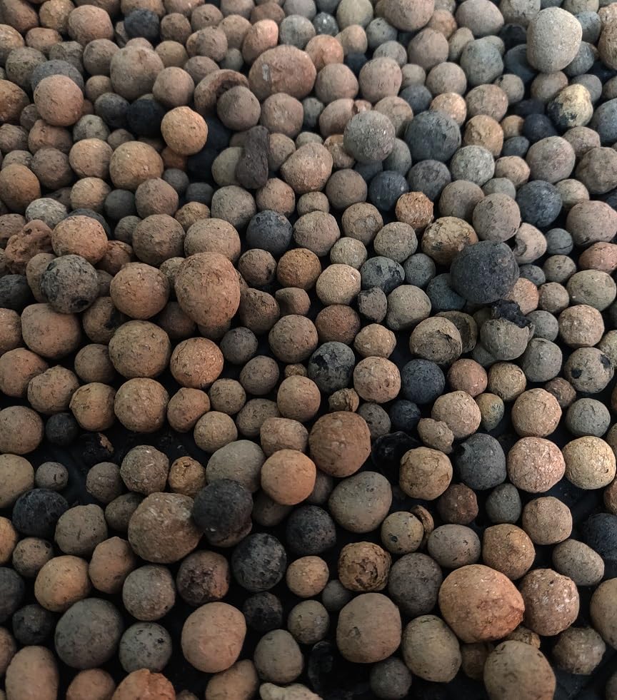 WE Hydroponics Non-Floating Expanded Clayballs Hydrotons (LECA) Organic Pebbles Expanded Clay Aggregate, Hydroponics, Aquaponics, & Plant Garden Soil (1, 8 to 15mm) (B0BQZ5RB56) Amazon Price History, Amazon Price Tracker